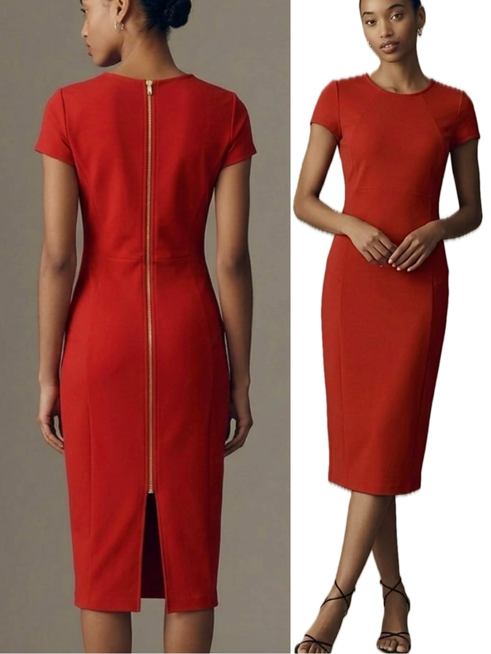 NWT Felicity & Coco Red Midi Dress Size M Zipper Back Knee Length Bodycon Crew